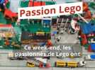Exposition - Lego Star Wars, Harry Potter, Avatar ou Animal Crossing : tout ce qui brique est à Saint-Éloi ce week-end [vidéo]