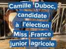 Camille Duboc, étudiante Yvetotaise participe au concours Miss France junior agricole