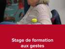 stage premiers secours pour animaux
