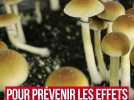La psilocybine, traitement possible contre les effets secondaires de la chimiothérapie