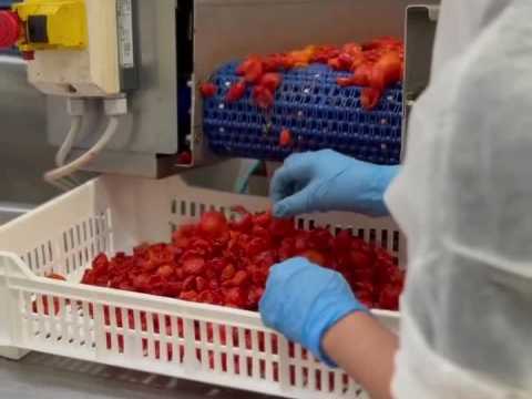 VIDEO : L?�t� est derri�re nous, et avec lui&hellip;