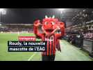 Roudy est la nouvelle mascotte de l'En Avant Guingamp