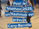 Ils préparent un flash mob pour mettre en lumière le Téléthon à Cany-Barville