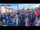 VIDÉO. Un petit millier de personnes ont défilé à Nantes pour un budget décent