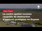 VIDÉO. Le centre spatial reconnu coupable de destruction d'espèces protégées en Guyane