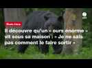VIDÉO. Il découvre qu'un « ours énorme » vit sous sa maison : « Je ne sais pas comment le faire sortir »