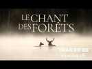 Le Chant des Forêts (Vincent Munier) - Trailer BE
