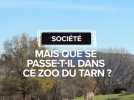 Société : Mais que se passe-t-il dans ce zoo du Tarn ?