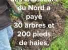 La Fédération des chasseurs du Nord a payé 30 arbres et 200 pieds de haies, planter à Socx