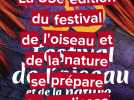 Dans les coulisses du 35e festival de l'oiseau et de la nature... on préselectionne les films