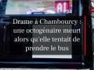 Accident tragique à Chambourcy : une octogénaire perd la vie en voulant prendre le bus