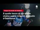 VIDÉO. Coupe du monde de biathlon. À quelle heure et sur quelle chaîne suivre le sprint masculin d'Östersund ?