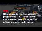 VIDÉO. F1. Champion du monde, circuit, programme TV... Tout savoir sur le Grand Prix d'Abu Dhabi, ultime manche de la saison