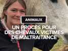 Une propriétaire de chevaux condamnée à 4 mois de prisons avec sursis et 240 euros d'amendes pour maltraitance animale