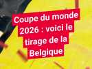 Coupe du monde 2026 : la Belgique hérite de l'Iran, de l'Egypte et de la Nouvelle-Zélande dans le groupe G