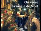 Trésors d'Alsace : Où vivre la magie de Noël