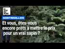 Et vous, êtes-vous encore prêts à mettre le prix pour un vrai sapin ?