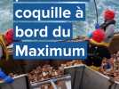 Fécamp : pêche à la coquille à bord du Maximum