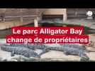 VIDÉO. Dans la baie du Mont-Saint-Michel, le parc Alligator Bay change de propriétaires