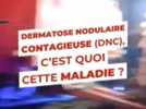 Agriculture - Dermatose bovine : Il n'y a aucun foyer actif de la maladie en France, assure la ministre de l'Agriculture
