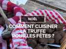 Sublimer la truffe pour Noël