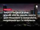 VIDÉO. Tokyo n'est plus la plus grande ville du monde, voici à quoi ressemble la tentaculaire mégalopole qui l'a remplacée