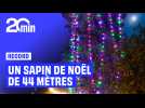 Le plus grand sapin de Noël du monde fait 44 mètres de hauteur