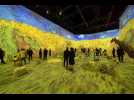 VIDÉO. Van Gogh : l'expérience immersive à Nantes