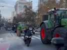 Manif des agriculteurs à Bruxelles