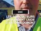 Dermatose nodulaire : Les agriculteurs pyrénéens demande le soutien d'Antoine Dupont