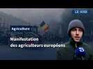 Manifestation des agriculteurs : « Aujourd'hui c'est une révolte, l'agriculture s'étouffe »