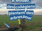 À Bolbec, des collégiens plantent des arbres pour protéger l'eau... jusqu'à Yport