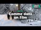 En pleine tempête neige, Central Park s'est transformé en paysage de film de Noël