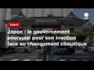 VIDEO. Japon : le gouvernement poursuivi pour son inaction face au changement climatique