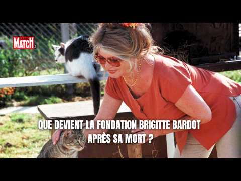VIDEO : Que devient la Fondation Brigitte Bar&hellip;