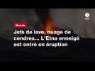 VIDÉO. Jets de lave, nuage de cendres... L'Etna enneigé est entré en éruption