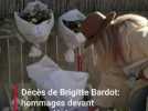 Décès de Brigitte Bardot: hommages devant sa propriété de La Madrague à Saint-Tropez