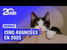 Cinq avancées pour les animaux en 2025