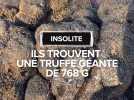 Ces trois passionnés ont découvert une truffe géante de 768 g