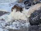 Bain de l'an : conditions trop dangereuses à Wimereux