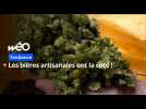 Les bières artisanales ont la cote !