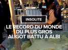 Le record du monde du plus gros aligot battu à Albi