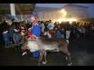 Un renne dans la cour de récréation : la surprise du marché de Noël des Gribouilles