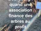 Reboisement à Bourbourg : quand une association finance des arbres au profit d'agriculteurs