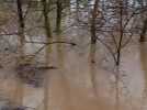 Intempéries dans l'Hérault : après une nuit d'inquiétude, le village de Saint-Thibéry a été épargné par les eaux
