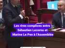 Les rires complices entre Sébastien Lecornu et Marine Le Pen à l'Assemblée