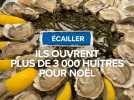 Ils ouvrent plus de 3 000 huîtres pour Noël