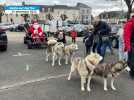 VIDÉO. "Les rennes se reposent" : tiré par des chiens, le traîneau du Père Noël promène les enfants