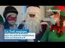 Un Noël magique avec lutins et animaux pour les enfants hospitalisés d'Aix-en-Provence