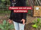 Préparer son sol pour le printemps